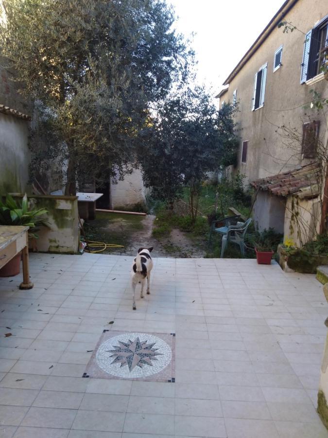 Casa Vacanza Zia Ersilia Rotondi Bagian luar foto