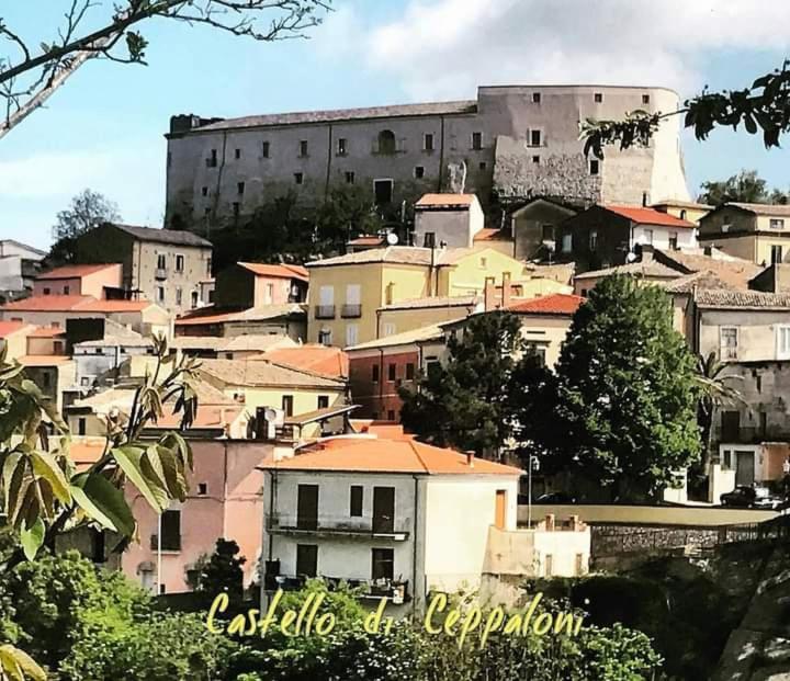 Casa Vacanza Zia Ersilia Rotondi Bagian luar foto
