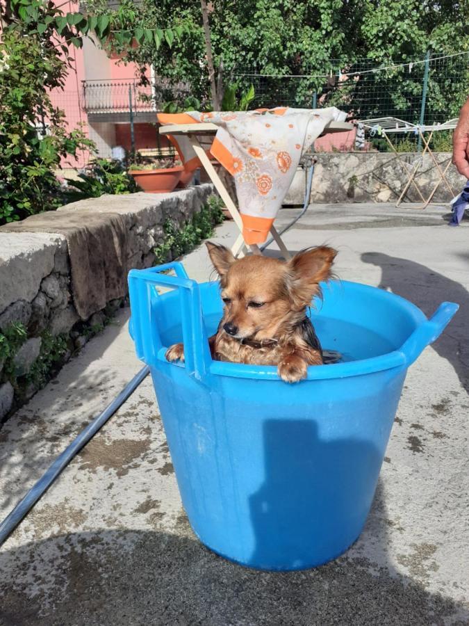 Casa Vacanza Zia Ersilia Rotondi Bagian luar foto