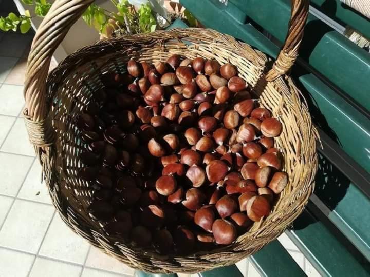 Casa Vacanza Zia Ersilia Rotondi Bagian luar foto