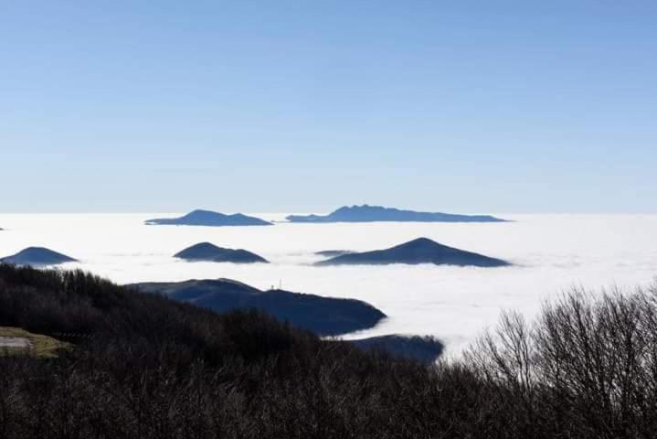 Casa Vacanza Zia Ersilia Rotondi Bagian luar foto