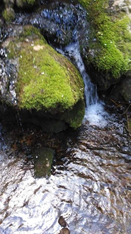 Casa Vacanza Zia Ersilia Rotondi Bagian luar foto