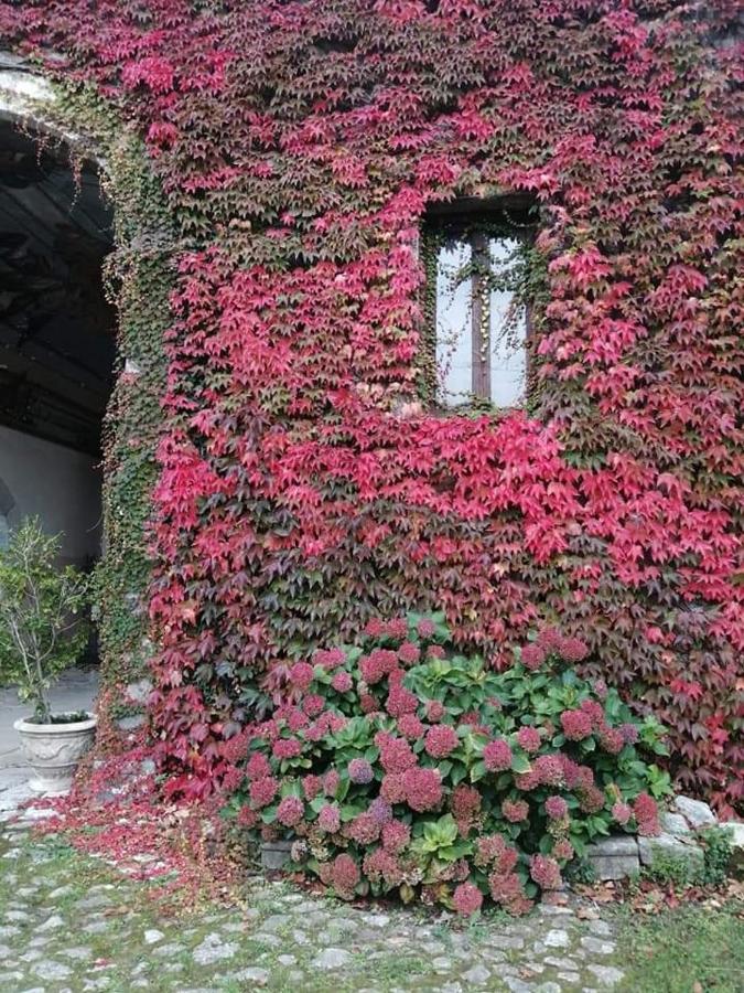 Casa Vacanza Zia Ersilia Rotondi Bagian luar foto
